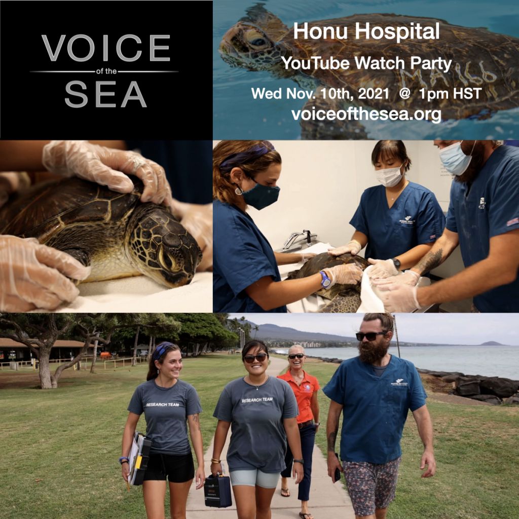 Flyer for Voice of the Sea Honu Hospital Youtube Watch party November 2021