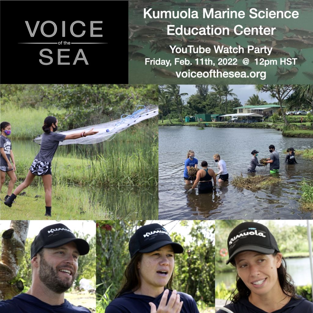 voice of the sea youtube watch party. Titled kumuola marine science education center. Friday, February 11th, 2022 at 12 pm HST.