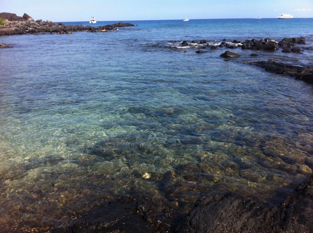 Shallow coastal waters in a rocky baylet show patterns of upwelling water