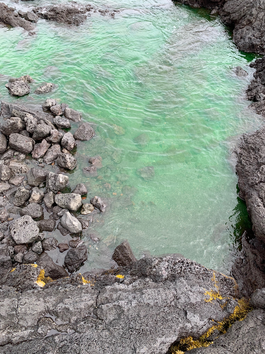 Looking down on coastal pool whose waters glow bright green