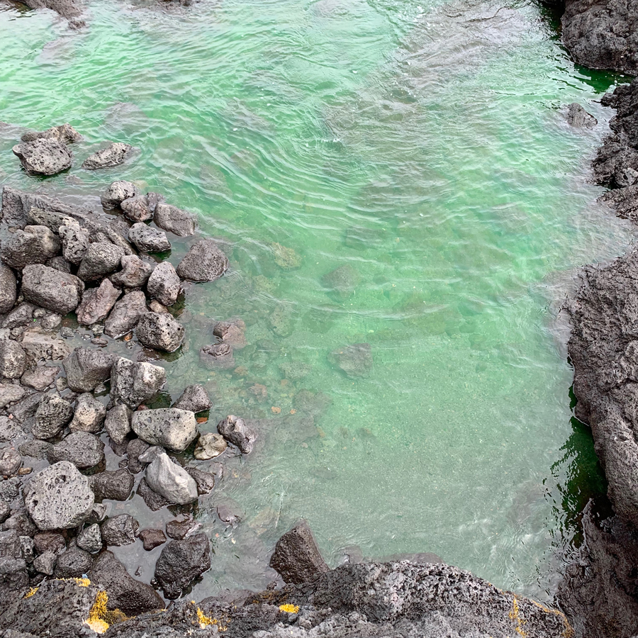 Looking down on coastal pool whose waters glow bright green