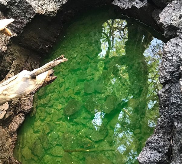 Green water within a rocky pool
