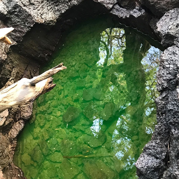 Green water within a rocky pool