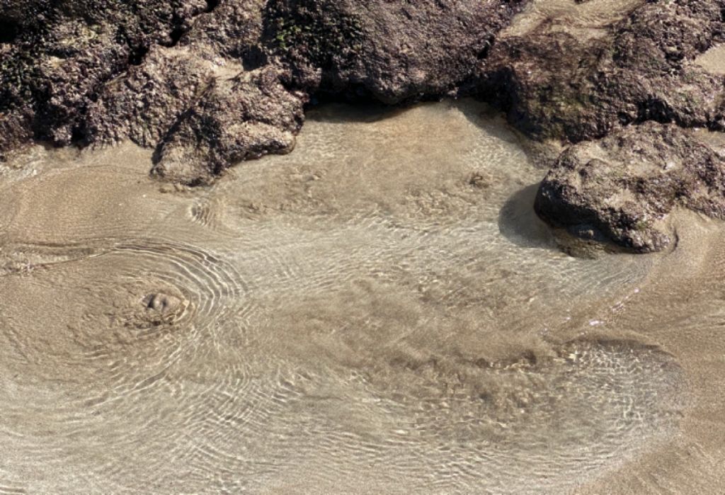 Sandy coastal water bounded by rocks is rippled by upwelling groundwater