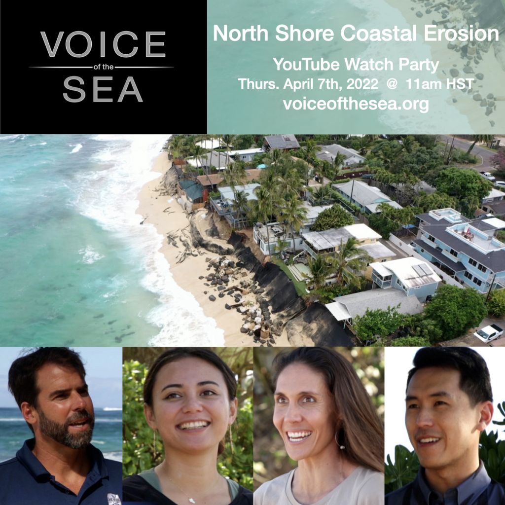 Flyer for Voice of the Sea North Shore Coastal Erosion Youtube Watch party April 2022