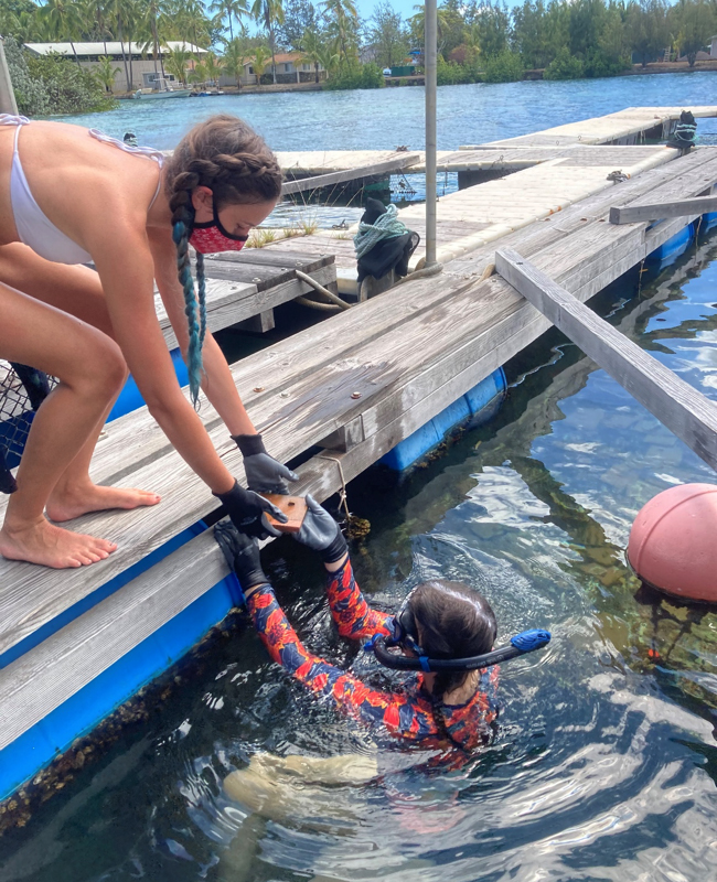 A student in snorkel gear in the water hands something to another student on a wooden dock.