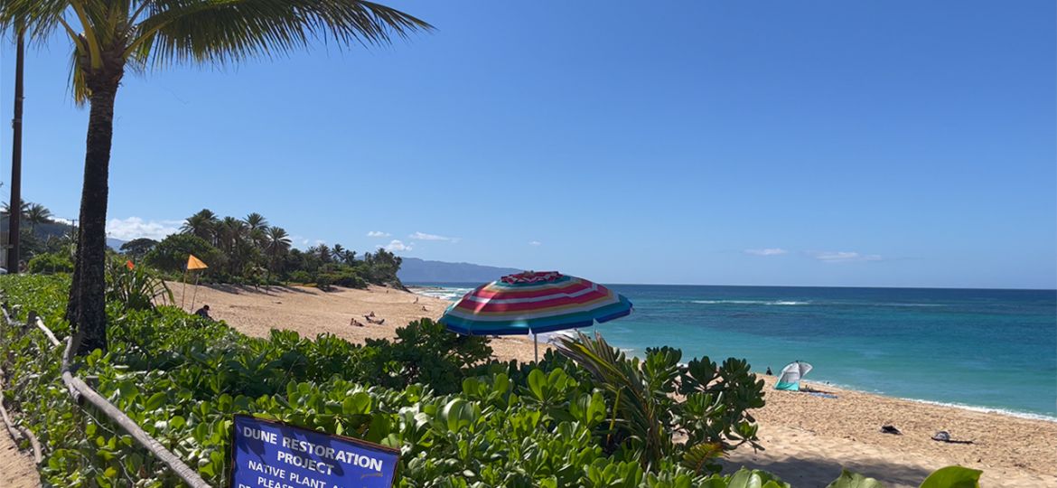 Sandy beach surrounded by vegetation. Clear blue sky and ocean with top of beach umbrella visible above vegetation in the foreground.