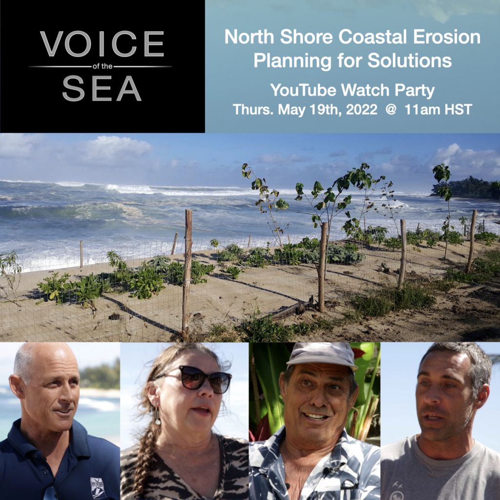 Voice of the Sea youtube watch party flyer. Titled North Shore Coastal Erosion Planning for solutions. Thursday may 19th, 2022 at 11 am HST.