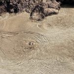 Sandy coastal water bounded by rocks is rippled by upwelling groundwater