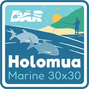 Holomua logo