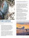 Sharing the Catch article by Robin Donovan. Features images of fish caught in a basket, along with a fisherman throwing a net