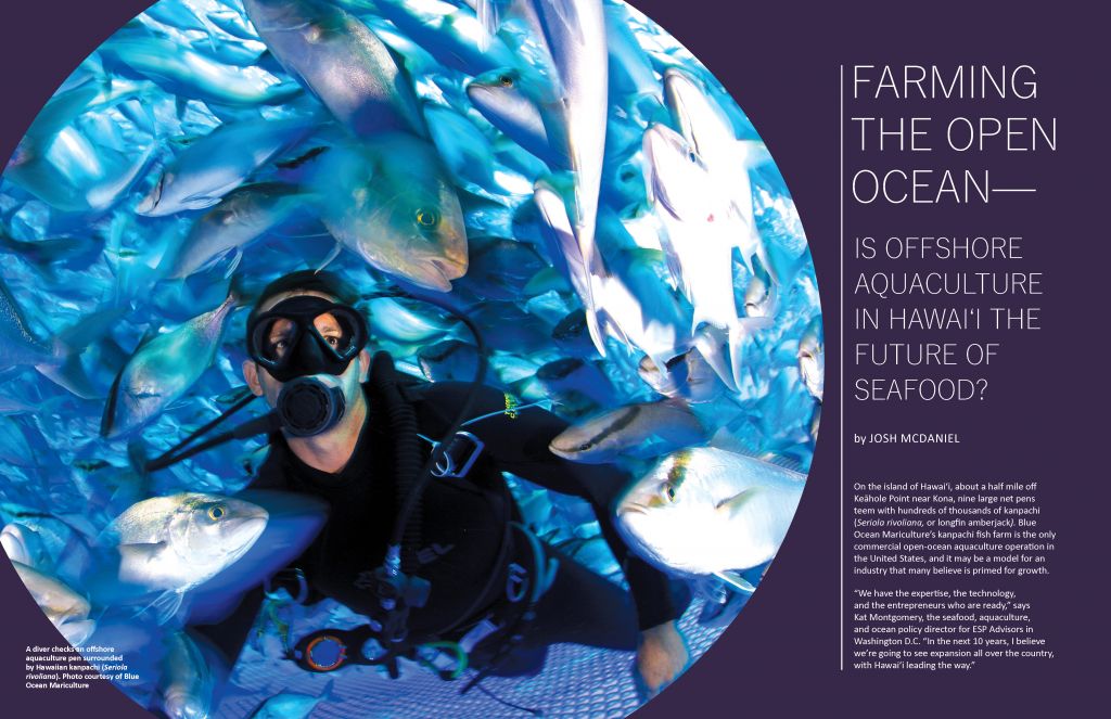Graphic for article 'Farming the Open Ocean - is offshore Aquaculture in Hawaii the Future of Seafood?' by Josh McDaniel