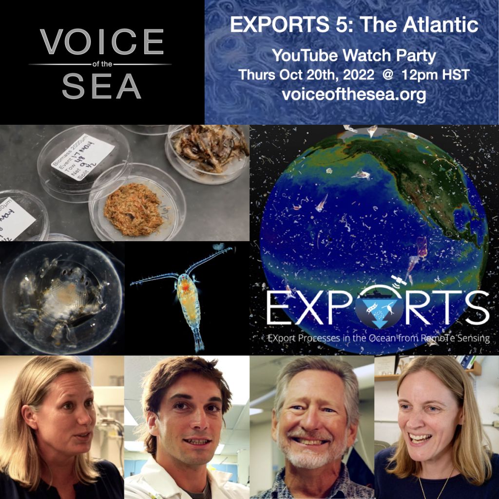 Flyer for Voice of the Sea EXPORTS 5: The Atlantic Youtube watch party. Flyer contains graphics of the earth, microbes and four scientists