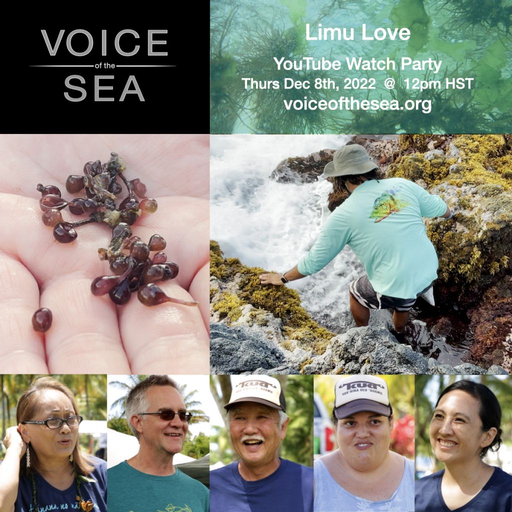 Flyer for Voice of the Sea Limu Love YouTube watch party December 2022