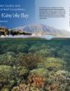 Restoring Water Quality and Bringing Back Coral Reef Ecosystems: Lessons from Kāneʻohe Bay