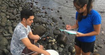 Two people sample coastal waters by the rocky shoreline