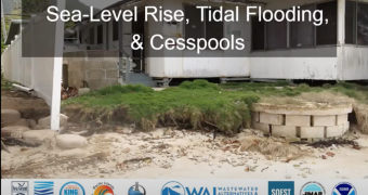 Sea-level rise, tidal flooding, and cesspools Science Seminar