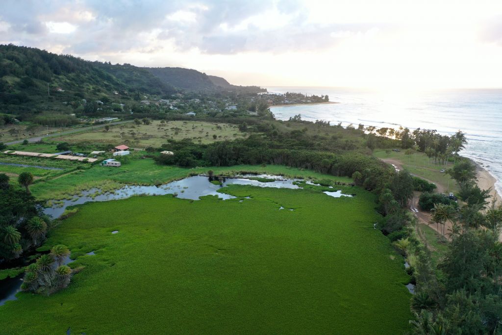 Aerial image of Waialee, North Shore Oahu