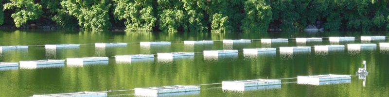 Boxes submerged in fresh water at the Hawaii Fish Company's quarry