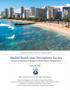 Cover of report including an image of Waikiki beach from the ocean.
