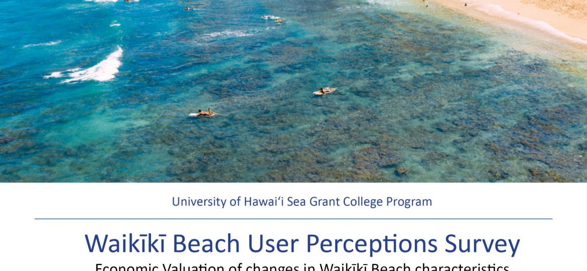 Cover of report including an image of Waikiki beach from the ocean.