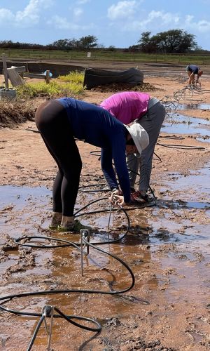 Two students attach hoses in the Salt Pond for ERT survey
