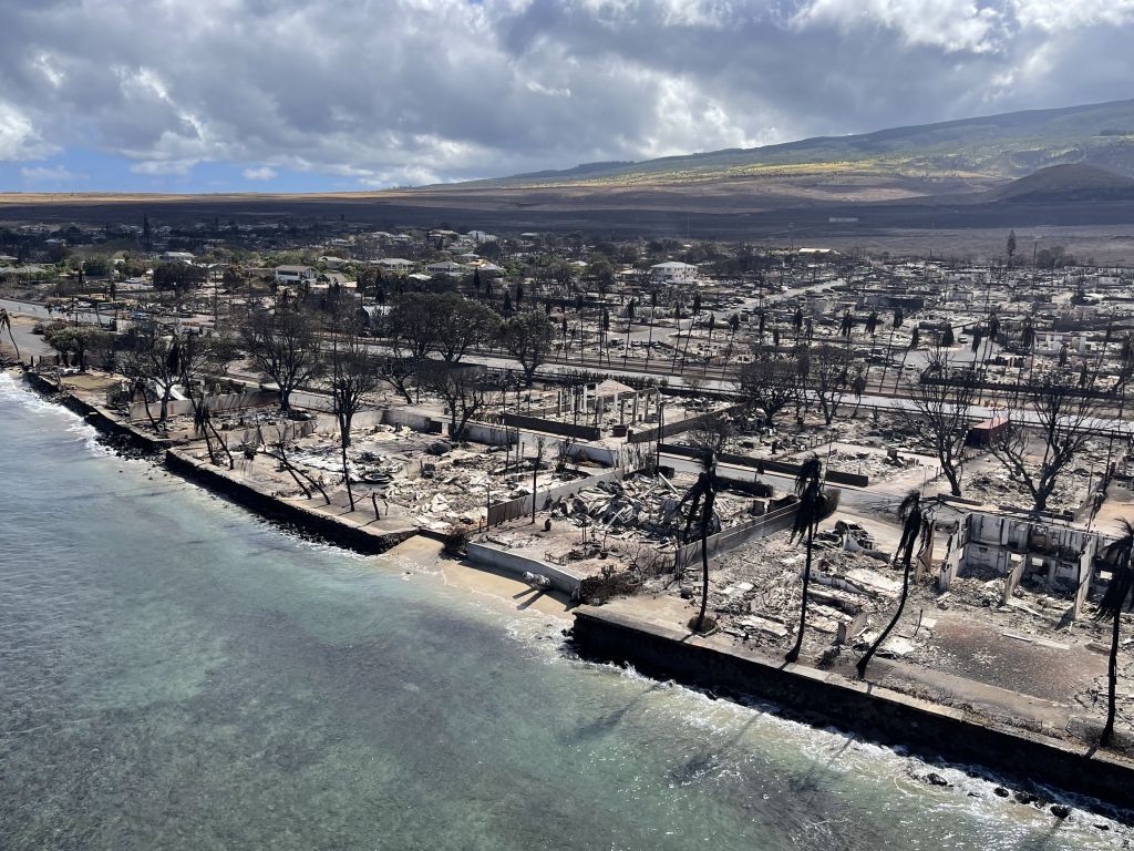 Aerial view looking onshore at charred trees and buildings reduced to ashes, with rolling green volcanic slopes in the background.