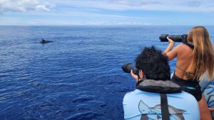 Two people on a boat, one with short dark hair and the other with long brown hair, point long-lens cameras at a dolphin surfacing nearby.
