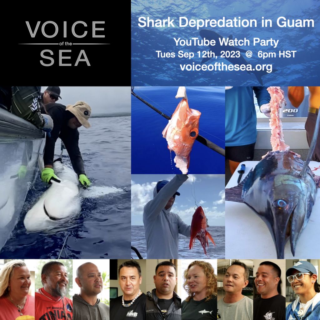Flyer for YouTube Episode Preimere of Shark Depredation in Guam with Voice of the Sea logo and photos of nine people's faces across the bottom, on the middle left a person leaning over a boat holding a shark, which is belly up, next two three images of fish that have been half eaten by sharks.