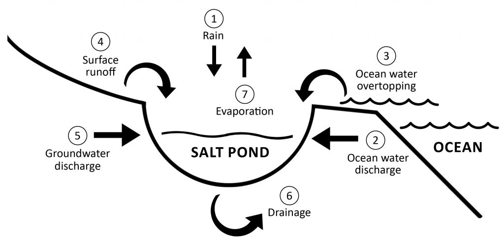 Diagram detailing the 7 stages of Salt Ponds functionality