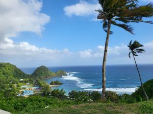 View from hillside overlooking a village along the coast and the ocean with small waves