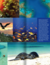 Magazine spread featuring the crystal blue coastline, fish, birds and a seal of Papahanaumokuakea
