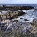 Evaluating the resilience of productive rocky intertidal ecosystems to sea-level rise using a community-based approach