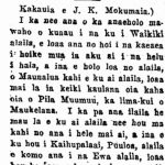 Hawaiian language text from old newspaper describing the ʻanae holo