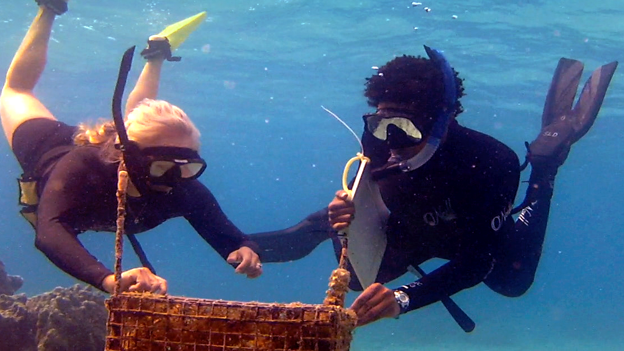 Kanesa Duncan and Sammy Davis snorkel underwater, looking at coral