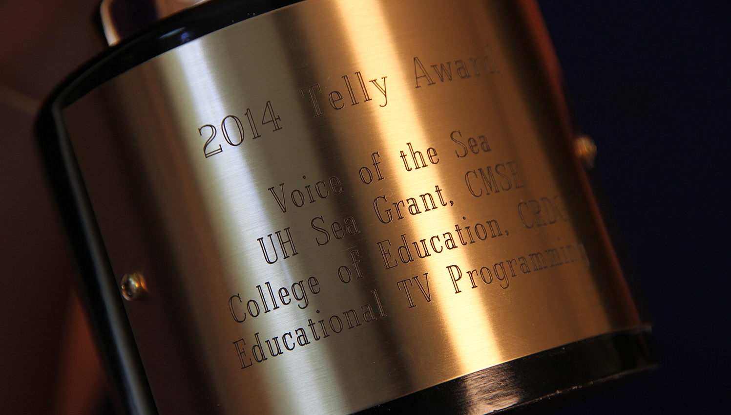 Close-up of Telly award for Voice of the Sea