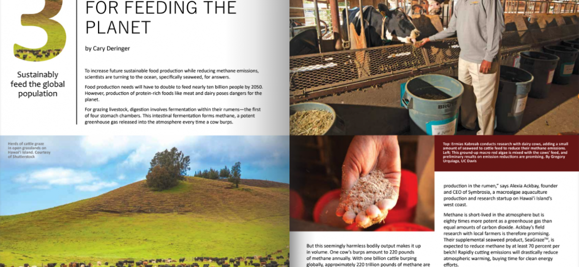 Ka Pili Kai spread for a seaweed as food security article. Contains images of livestock and a farmer feeding his cattle