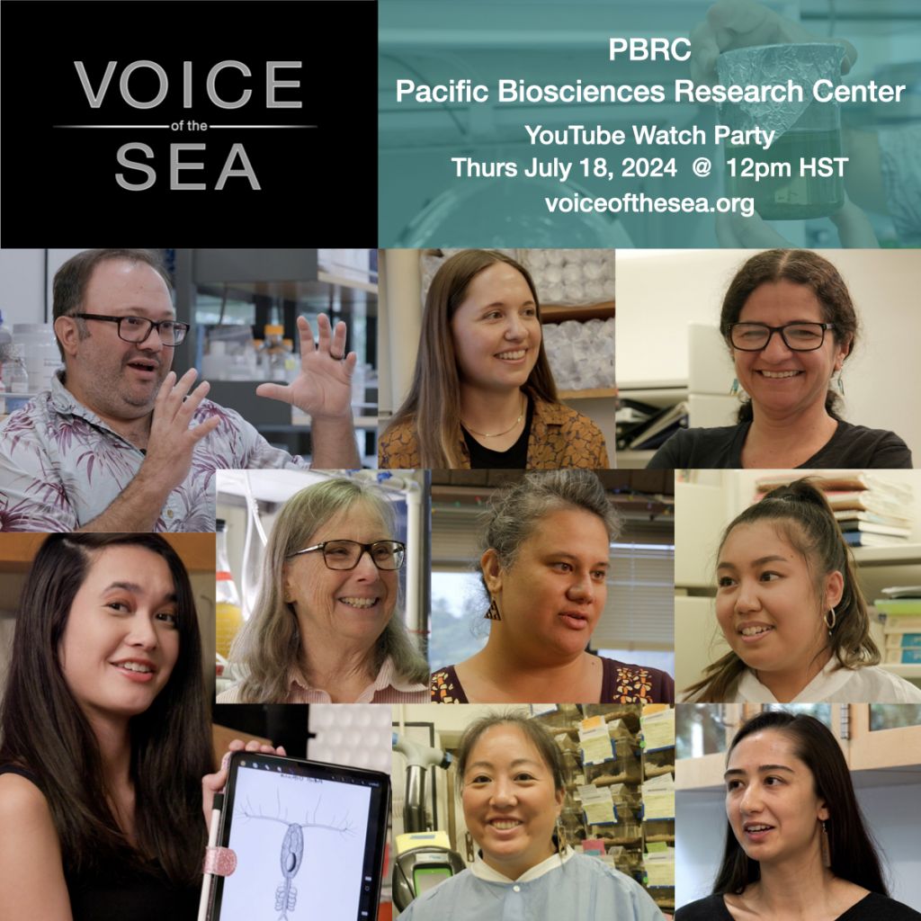 Flyer announcing YouTube premiere of the Voice of the Sea PBRC episode on July 18, 2024 at noon HST. Flyer shows the smiling faces of 9 people representing students and researchers at PBRC.