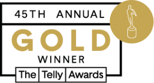 Image of a statue with the words 45th Annual Gold Winner for The Telly Awards 