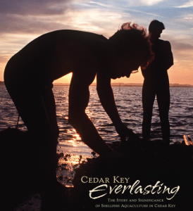 Image of two people at dusk bending over to look at harvest from the Sea. 