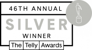 46th annual silver telly awards badge and logo